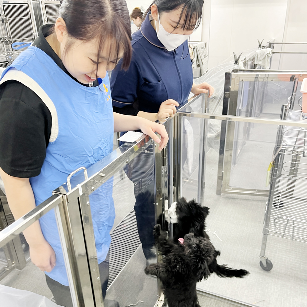 毎日２年生がお世話してくれています☆